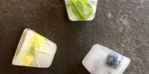 Come fare dei cubetti di ghiaccio con fiori e frutta