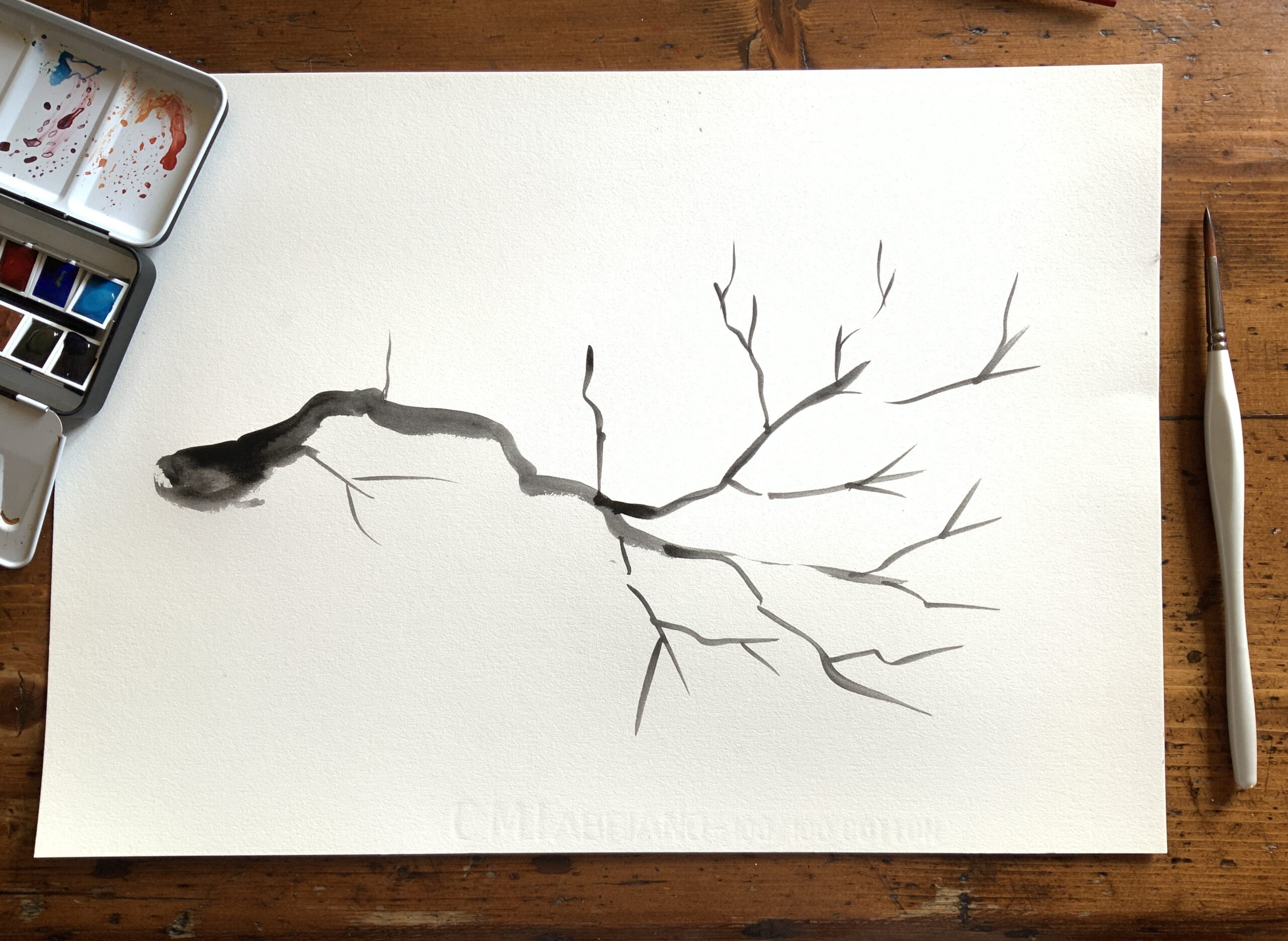 ramo di un albero in acquerello su foglio di carta