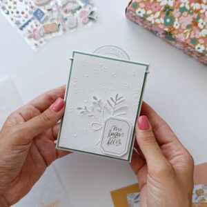 mini album con bustine