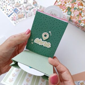 mini album con bustina verde