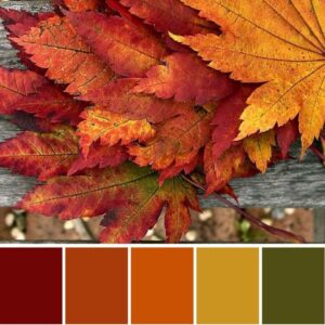Colori autunnali e armocromia: trucchi per renderli tuoi