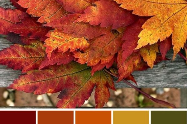 Colori autunnali e armocromia: trucchi per renderli tuoi