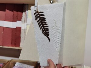 carta-riciclata-fatta-a-mano-impressione-botanica-foglia-renza-crea