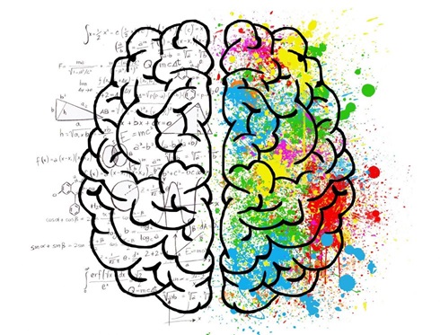Cervello diviso in due parti: la parte sinistra è la parte più analitica con numeri, formule mentre l'emisfero destro è la parte creativa con tanti colori 