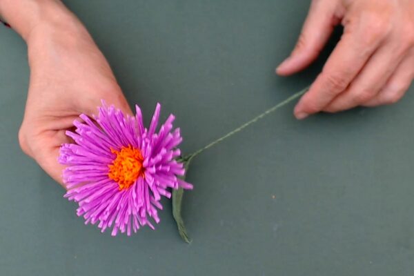 Tutorial Fiore Aster di Carta Crespa