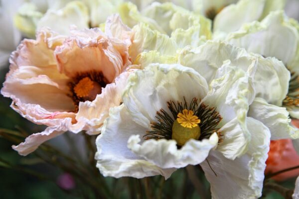 Tutorial Fiore Aster di Carta Crespa - Be-A