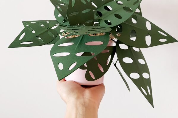 Corso di papercraft &#8211; crea la tua pianta di monstera