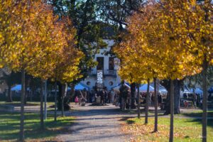 opus-mercatino-villa-fabris