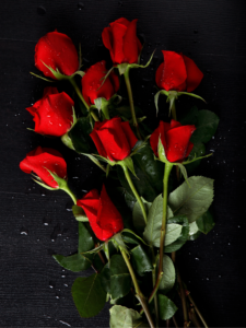 Rose rosse per San Valentino