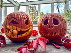 Zucche di halloween intagliate a mano con occhi e bocca con foglie autunnali